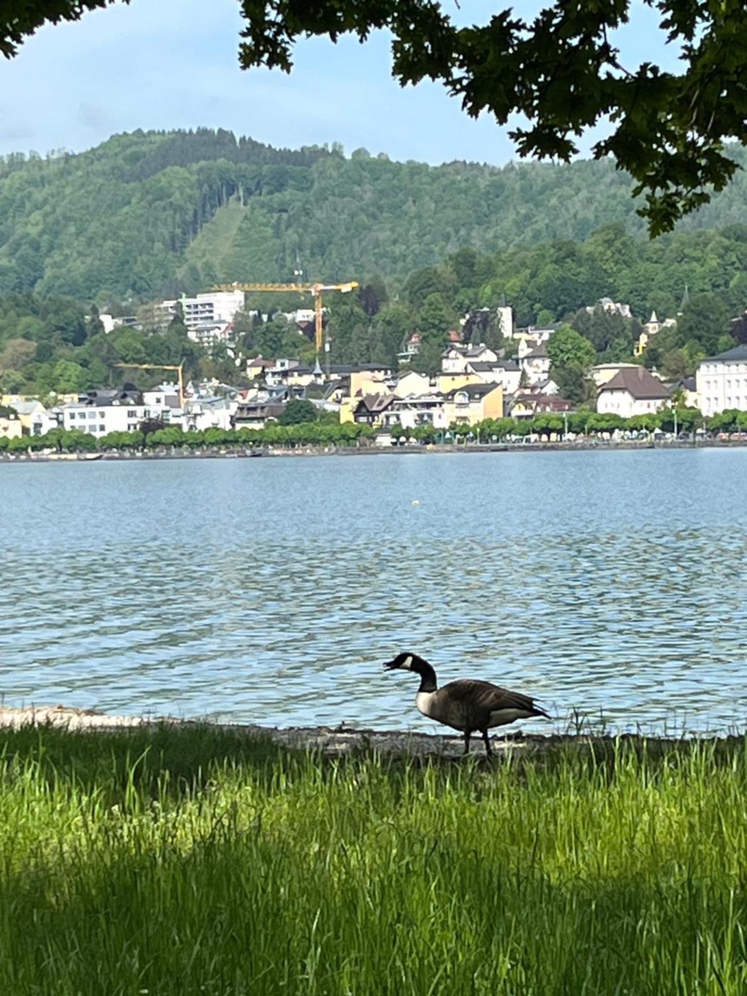 Altstadtjuwel In Gmunden Am Traunsee Exteriér fotografie