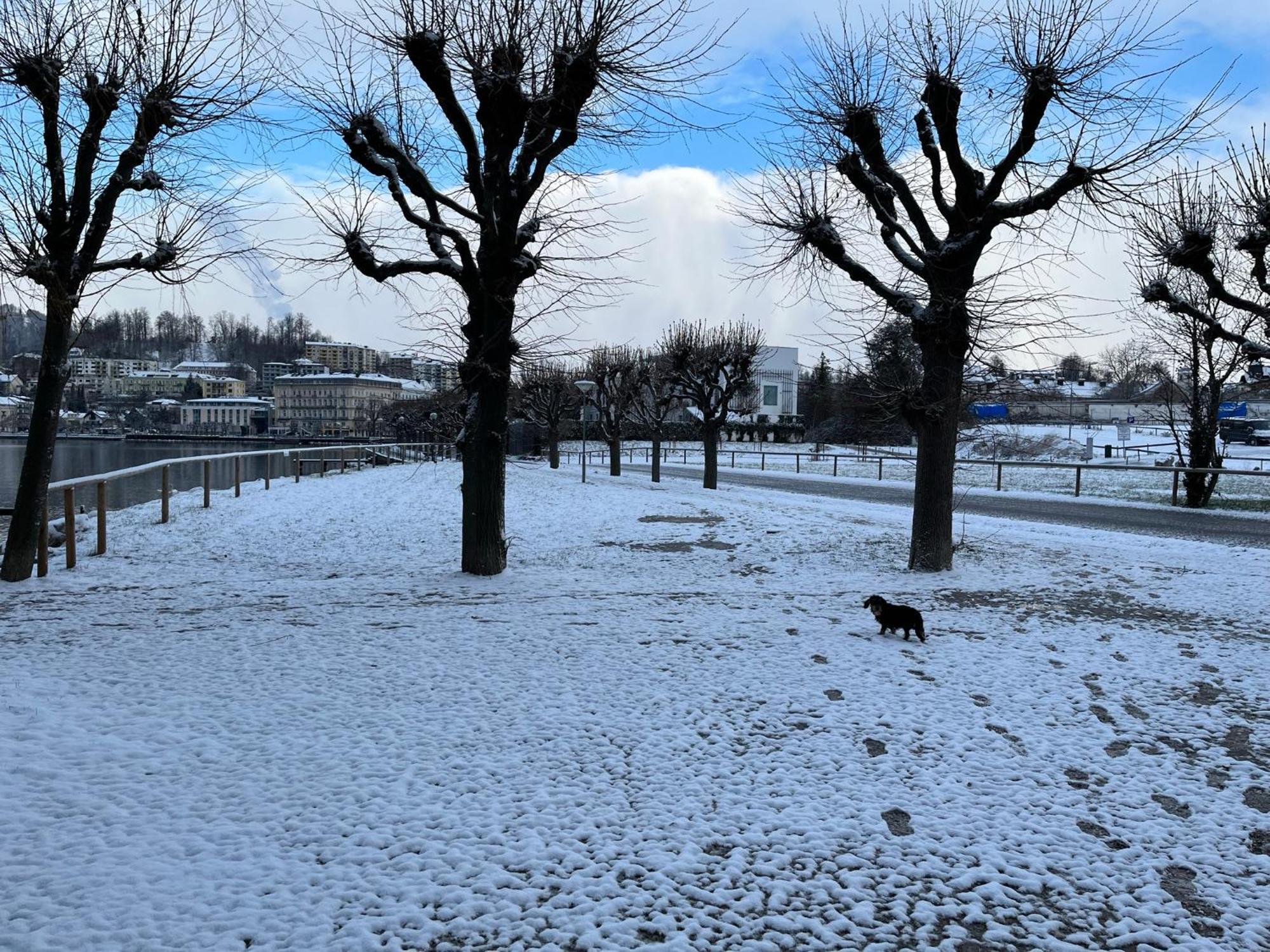 Altstadtjuwel In Gmunden Am Traunsee Exteriér fotografie